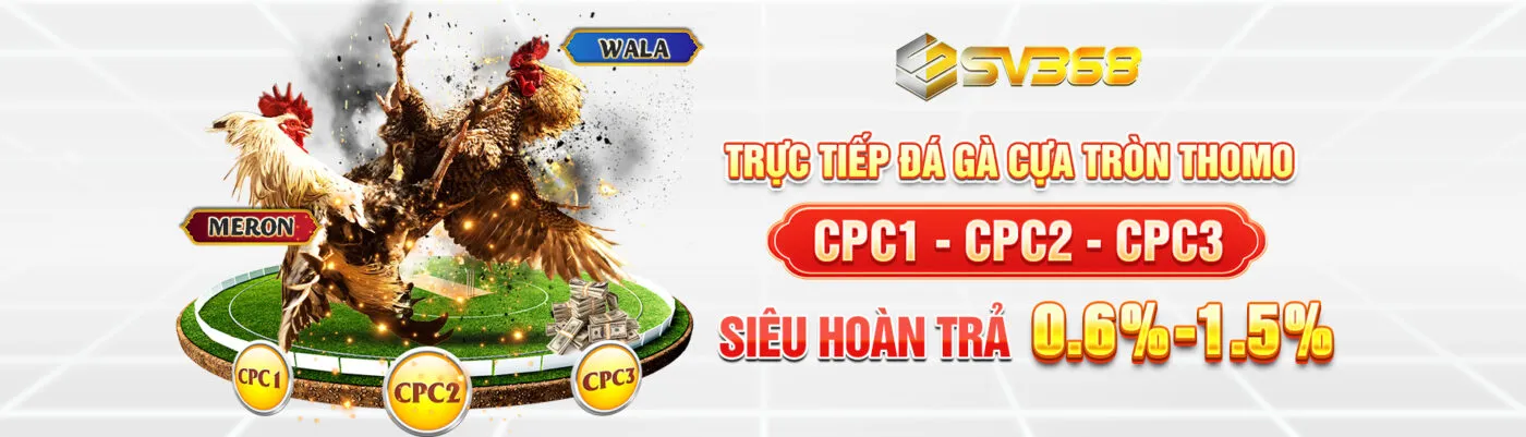 Trang chủ 23 1725032006642 ga pc hoa tra 06 15